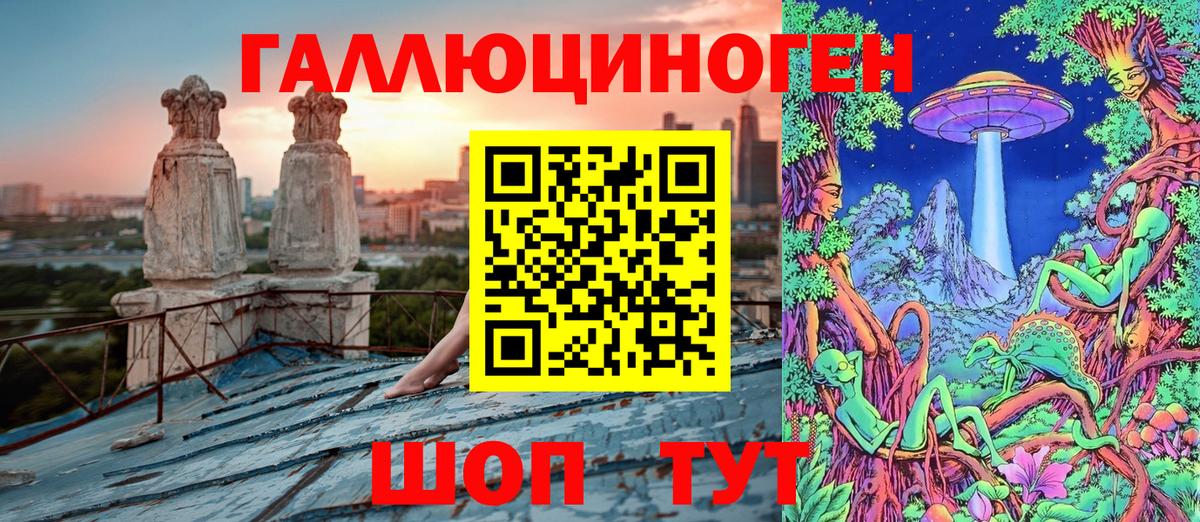 Галлюциногенные грибы Psilocybine cubensis  Вход с VPN  Георгиевск 